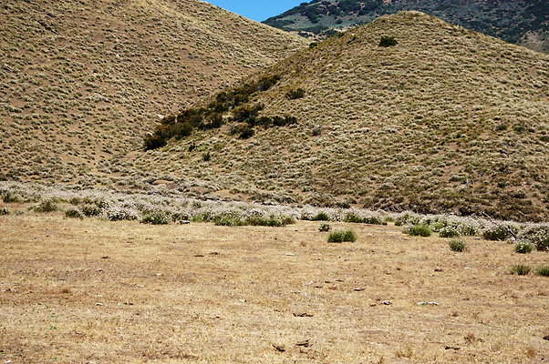 Caravan.West.18