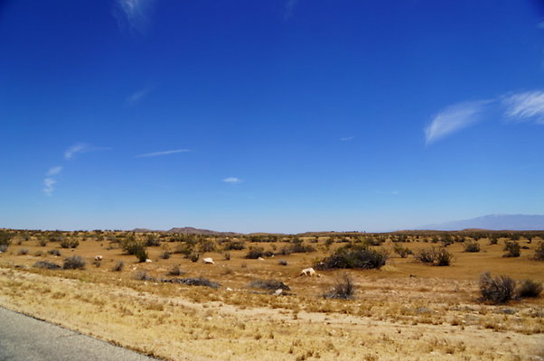 Ave.G.250th to 240th.EAST.59