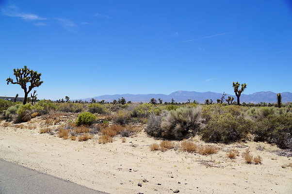 Ave.Q.145.150.E.14 Ave.Q.145.150.E.14