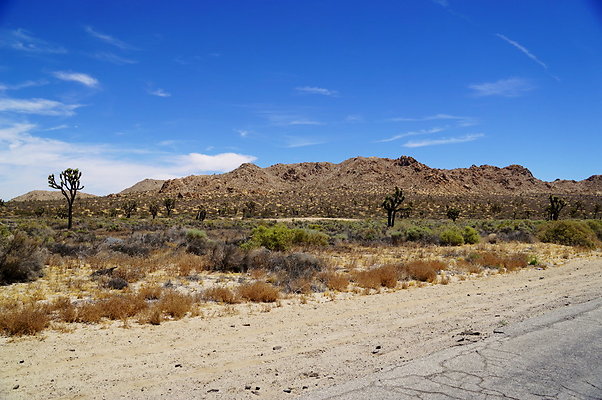 Ave.Q.145.150.E.12 Ave.Q.145.150.E.12