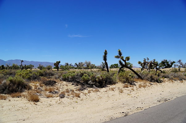 Ave.Q.145.150.E.18 Ave.Q.145.150.E.18