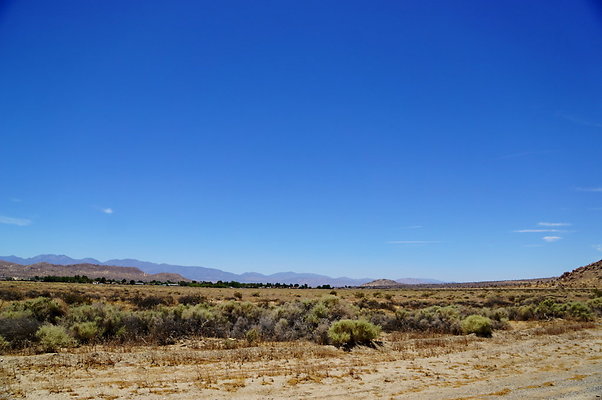 AVE.M.AT.150Th.East.11