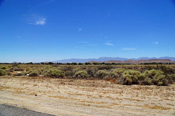 AVE.M.AT.150Th.East.22