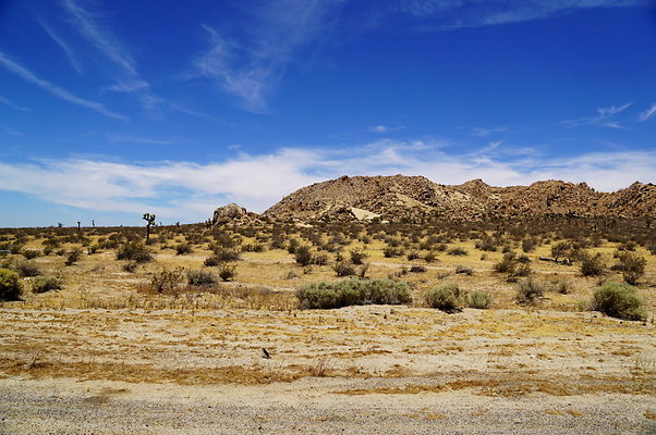 AVE.M.AT.150Th.East.18