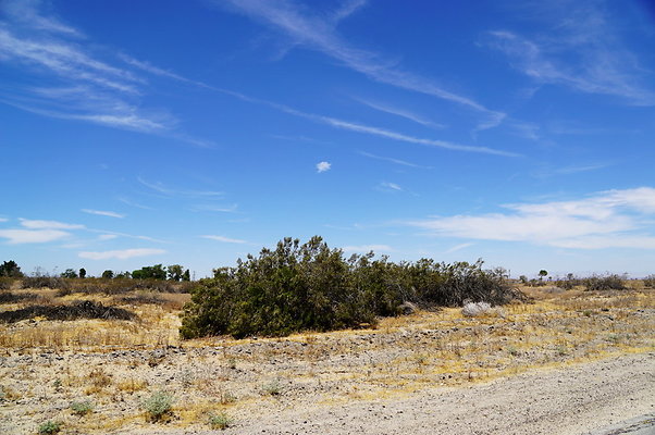 150th.E.at M.North.19