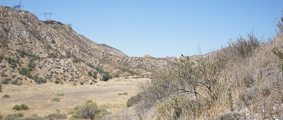 Blue.Cloud.Fields.05