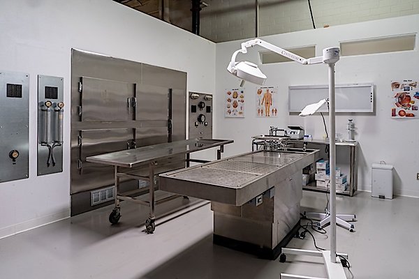 11515 lab