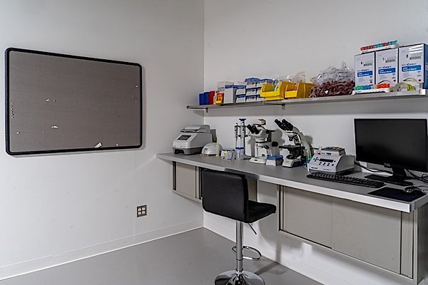 11515 lab7