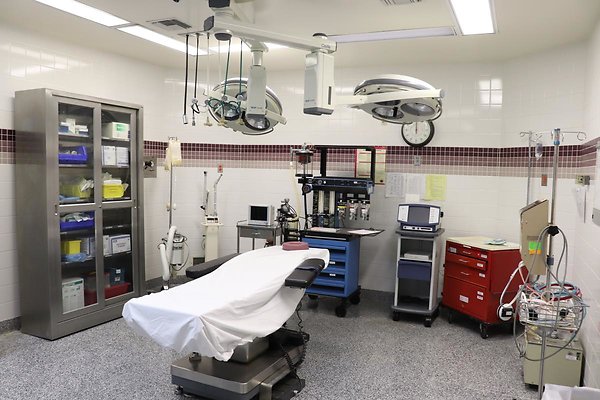 SerranoMed1153s