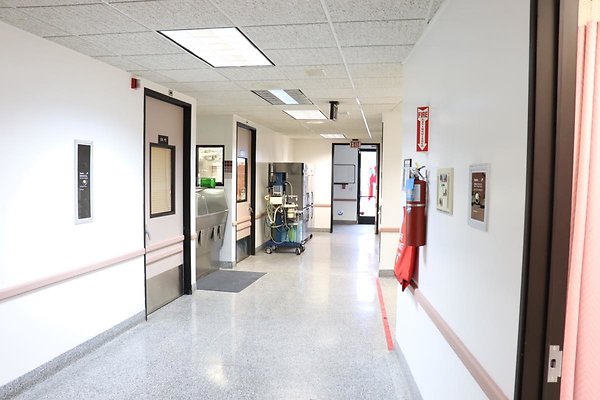 SerranoMed1145s