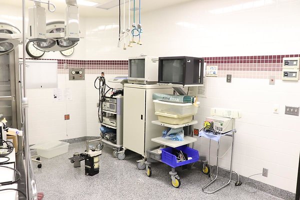 SerranoMed1166s