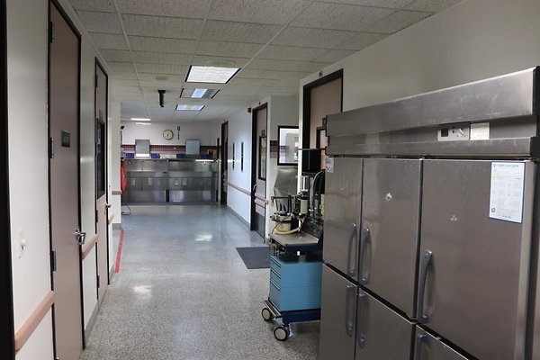 SerranoMed1146s