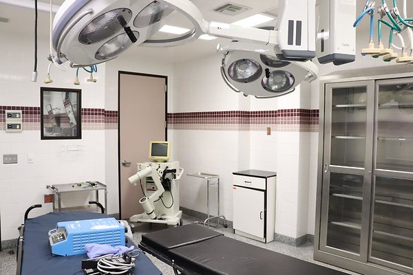 SerranoMed1142s