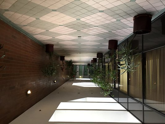 WLA.Surgical.Cntr.26