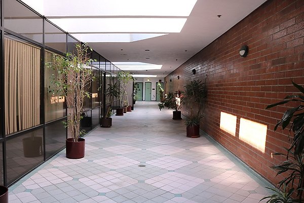 Courtyard - Open-Air