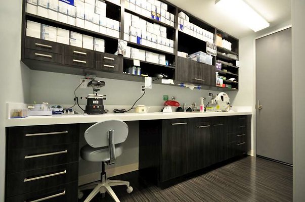 8753 lab