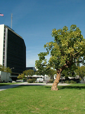 L.A. Center Studios Park
