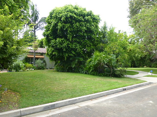 P1140690