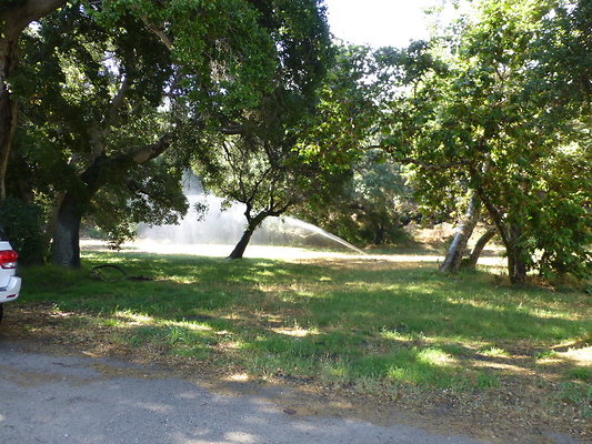P1140333