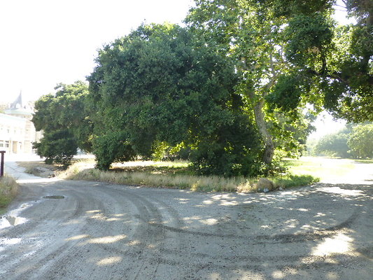 P1140331