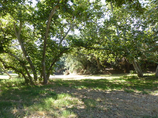 P1140311