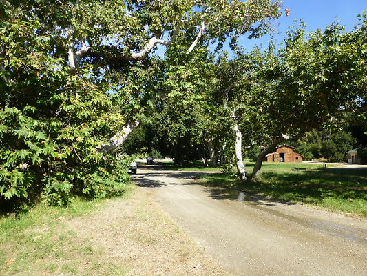 P1140324