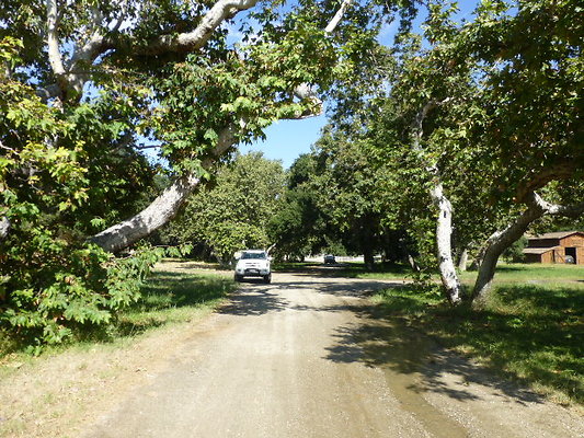 P1140321
