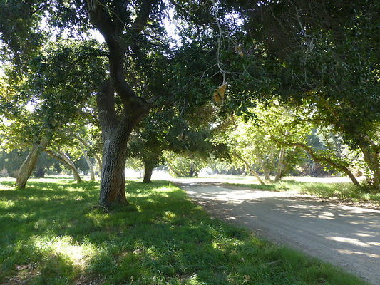 P1140305