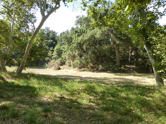 P1140313