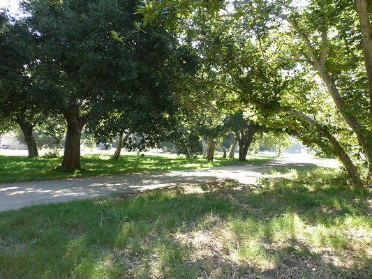 P1140310
