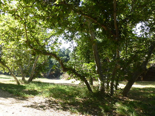P1140312