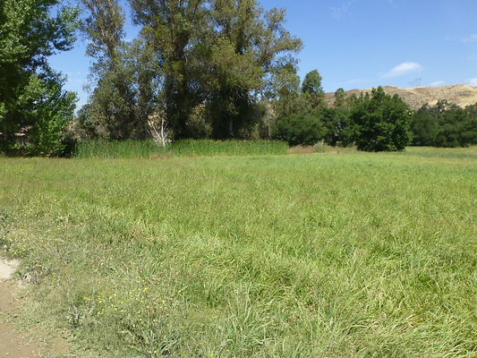 P1140594