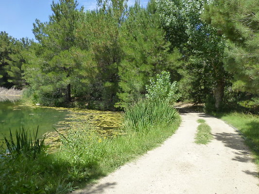 P1140623