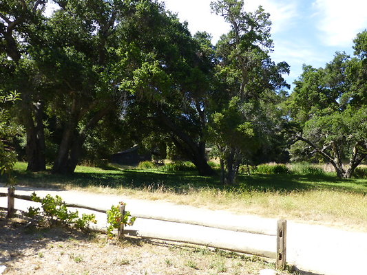 P1140404