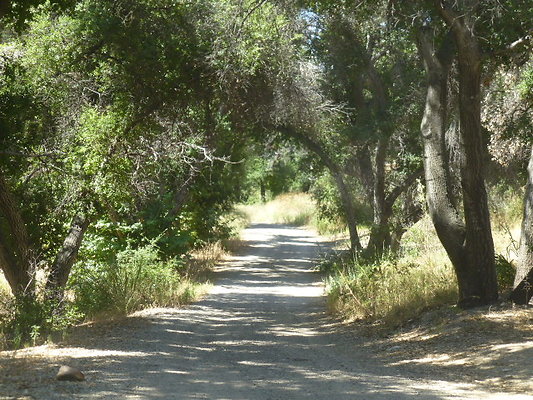P1140451
