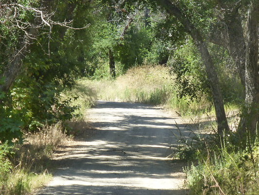 P1140452