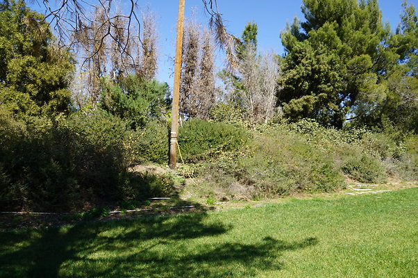 GOR.House.12.39 GOR.House.12.39