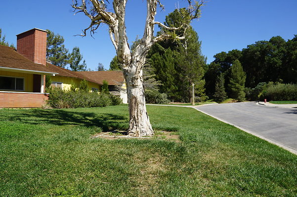 GOR.House.12.09 GOR.House.12.09