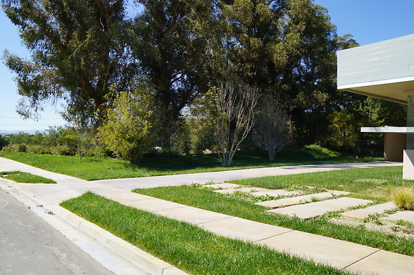 Golden Oaks Modern House 09