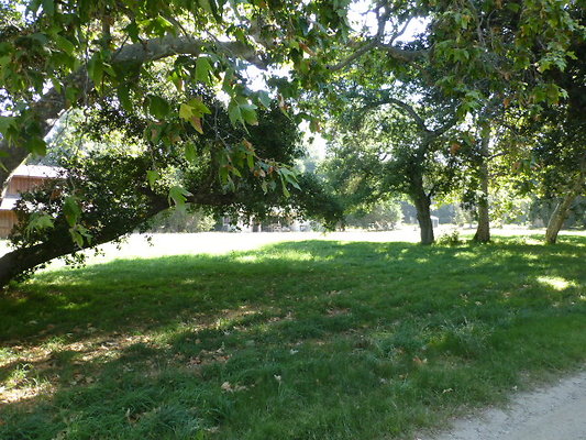 P1140299