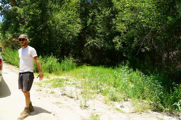 Polsa.Rosa.Creek.Trees.09 Polsa.Rosa.Creek.Trees.09