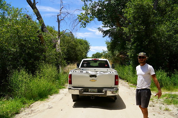 Polsa.Rosa.Creek.Trees.08 Polsa.Rosa.Creek.Trees.08