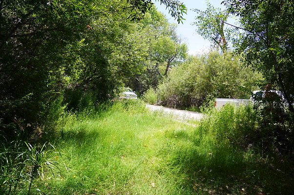 Polsa.Rosa.Creek.Trees.14 Polsa.Rosa.Creek.Trees.14