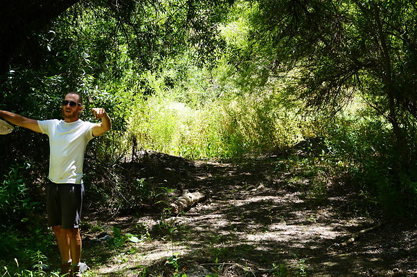 Polsa.Rosa.Creek.Trees.82