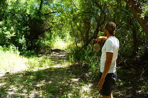 Polsa.Rosa.Creek.Trees.77