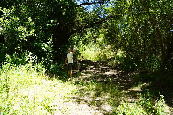 Polsa.Rosa.Creek.Trees.79