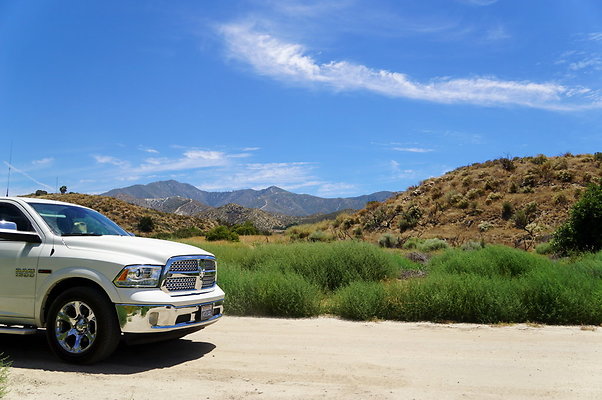 Polsa.Rosa.Creek.Trees.43