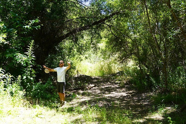 Polsa.Rosa.Creek.Trees.81