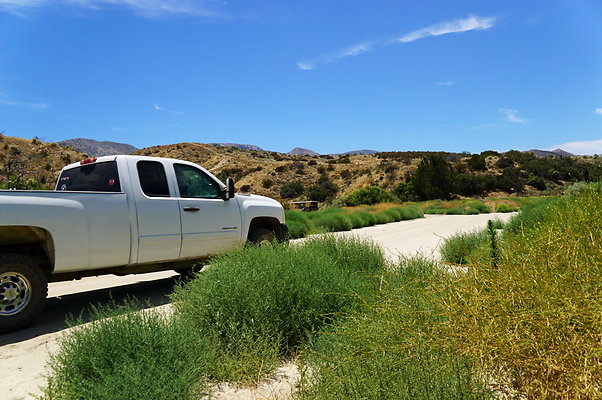 Polsa.Rosa.Creek.Trees.44