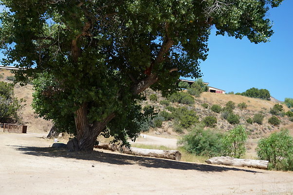 DSC01160